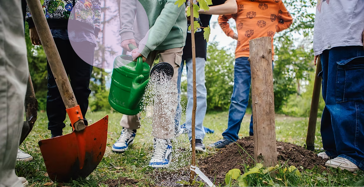 Mittelschule Ludesch