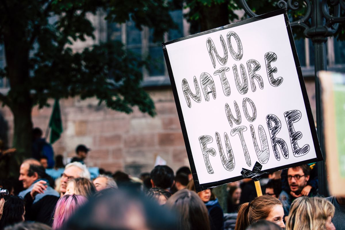 Kultur solidarisiert sich mit Klimaschutz, Letzte Generation